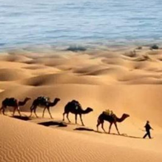 һһ··Dʽ2000ǰWڄ¸ҵ̽lBӁWǎ״Q׺Ľͨ· 