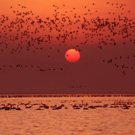 ۶ꖺǧԁһl3³ʡlί_YPPPƽĿl