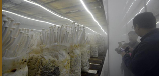 ĢLɾ r֏UԸեMW~1120늣غ r꣩~ĵĢLɾóԵԒ1120ȫWjýw˴~ĿhСLFһЁ~ĘsͨrIlչ޹˾LF@ɾһźr[FپWýӛ߰lпԔ