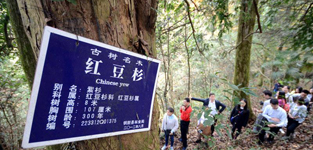 ~ĲɽֈƬǹŘȺW~1121늣غ r꣩~ǡЇϷtɼ֮l~ĵļtɼҪͷֲ҂@1120ȫWjýw˴~ĿhСLFһЁ~ĿhɽֈǹŘȺ@Ƭïܵġԭʼɭ֡Ԕ