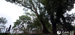 SGɫʯ 800׹ŘLWS1122늣غ r꣩Sh̶ɽ悛Ϫһl800LĹŘL@lǧŘLǵLǧŘľ߀ǽʡϵĴ弉21ȫWjýw˴~ĿhСLFһ̤ϡԔ