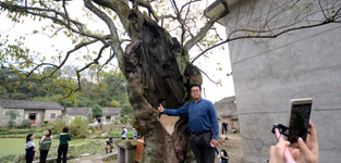 ǧ֦~ï ɶԴWS1122늣غ r꣩21ȫWjýw˴~ĿhСLF쌚ŴLڴWýӛߺ;WjVlFһþǧvʷ@@ѽs֦~ïWýӛ߂Ї@Ԕ