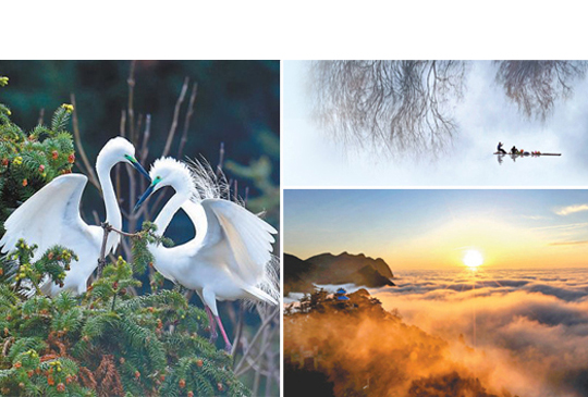     ¹磺ľOԣҸhʮ˴ԁƽӛR˼xμҵhҊ׿R@ĸlչ⽻h·܊lһϵҪvԒγ·˼_Їɫx¾硾ԔƄdMȡ³ɾ    x    ɽ325fÓؚ    ɽȫȡժؚñĸ´ӛ    owC""    С֙C""Bǡġ     ɳ׃ӛ    ڰᵽMυ^pؓٗlIж    СܸƇŔ200fhTSڼt  аӾǲһ  ɲ"~"ɶ