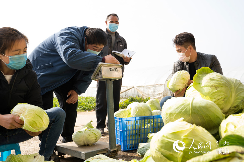 ߲˻ءơ Ͼ񡰲˻@ӡ w/z 