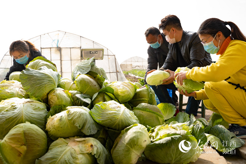 ߲˻ءơ Ͼ񡰲˻@ӡ w/z 