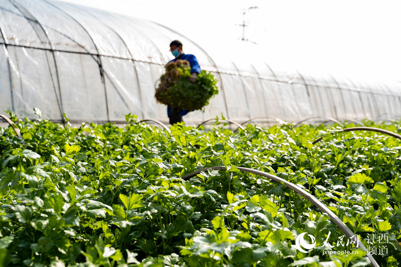 ߲˻ءơ Ͼ񡰲˻@ӡ w/z 