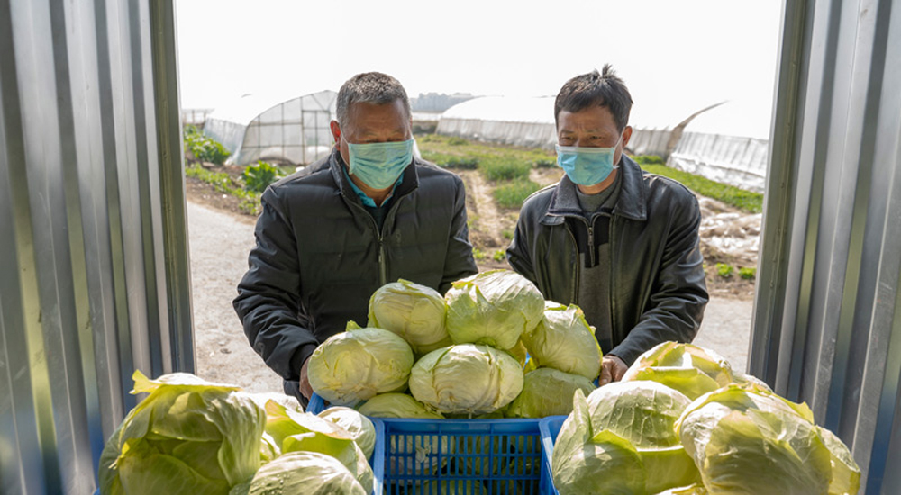 ࣺ߲˻ؾWjӆ Ͼ񡰲˻@ӡ