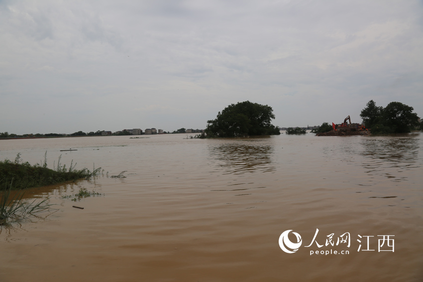 1118r׵̛QڷM40ӭA/z