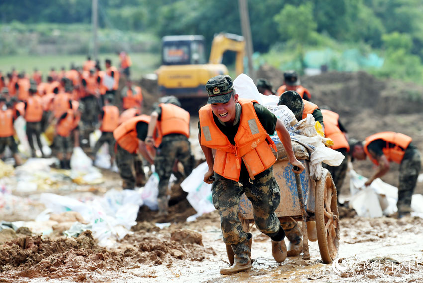 侯ʿ܇ɳ\̉̎W r/z