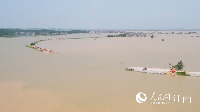 D齭۶כQڷ¬FӭA z