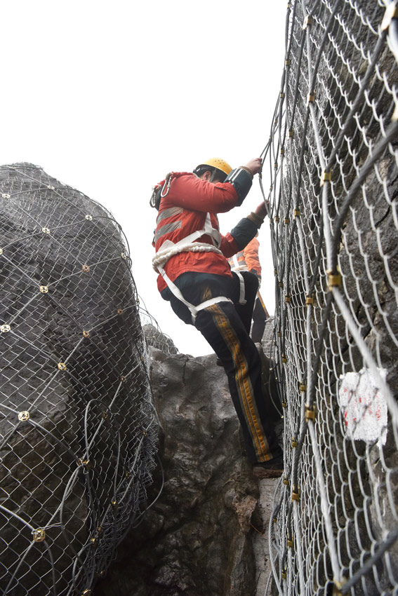 DIˆTʯÿһС z