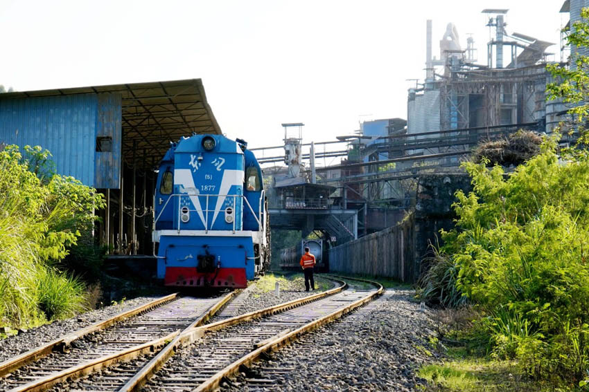 {܇ˆTMIǰľ·z鹤  z