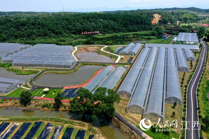 ϲаxhlϪһ̎ѽĤ߲˴W rz