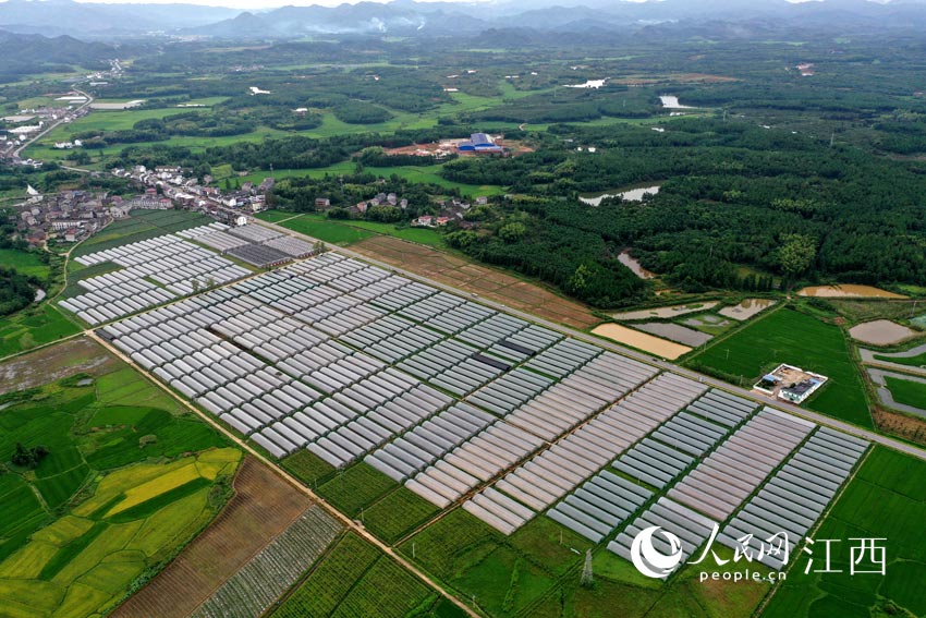 R^஀߲˴PH^W rz