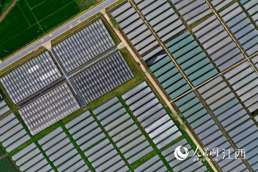 R^஀߲˴PH^W rz