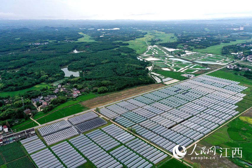 R^஀߲˴PH^W rz