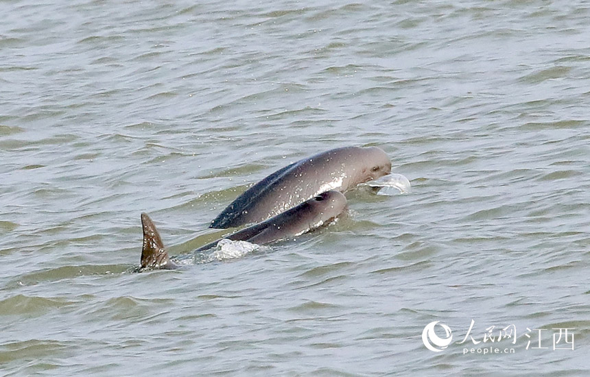 SM֧ϲГP悝OIˮ z