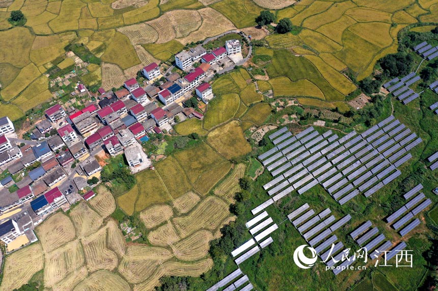 R^c̫ܹ塰xӳW rz