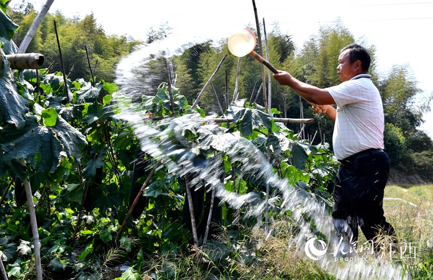 ڶϷNֲMg@Щ߀ʮܲժ W rz