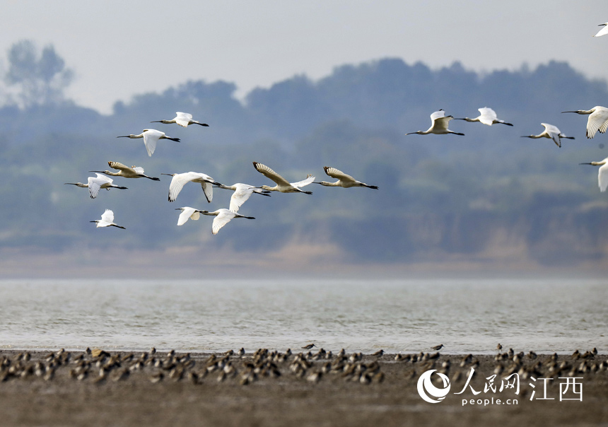 ȺϡԽBw۶ꖺʡŽкڿh  z