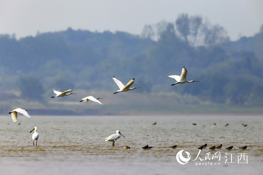 ȺϡԽBw۶ꖺʡŽкڿh  z