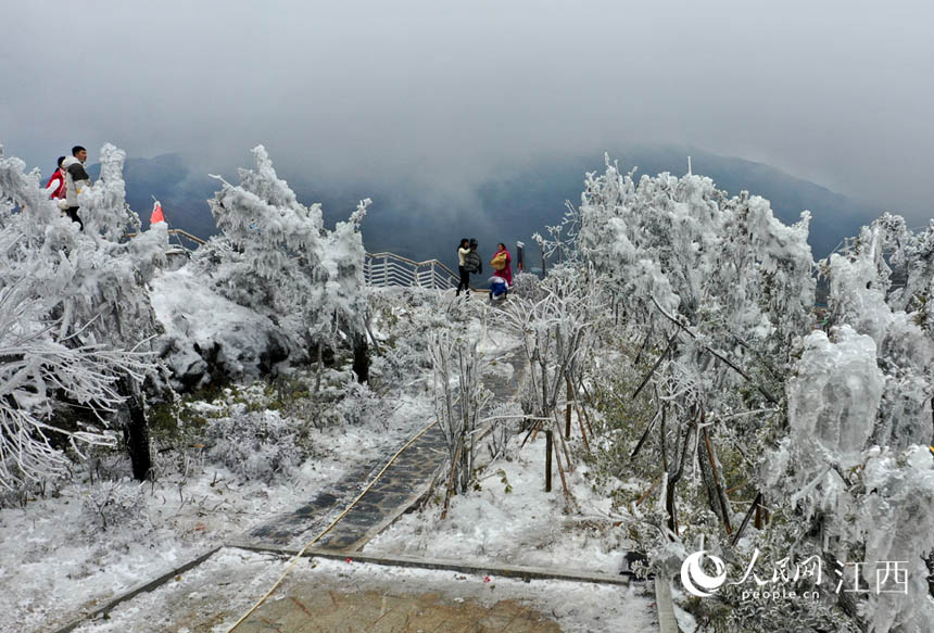 R^µϲ̎868׵÷Xϴˎ·ƶˡ W rz