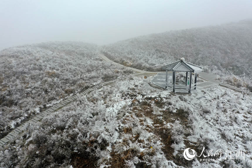 R^µϲ̎868׵÷Xϴˎ·ƶˡ W rz