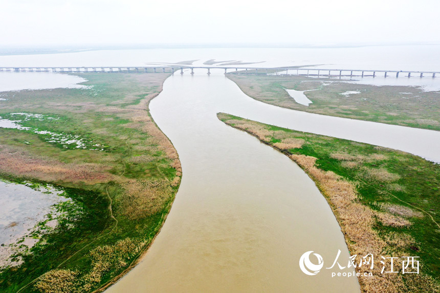 ȺӵĺˮӿϪ W rz