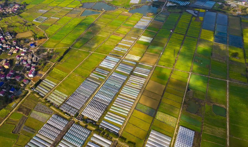 ǧ߲˻cͲ˻fӳȤwz