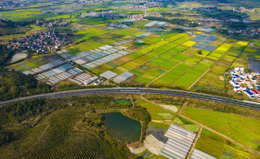 ǧ߲˻cͲ˻fӳȤwz