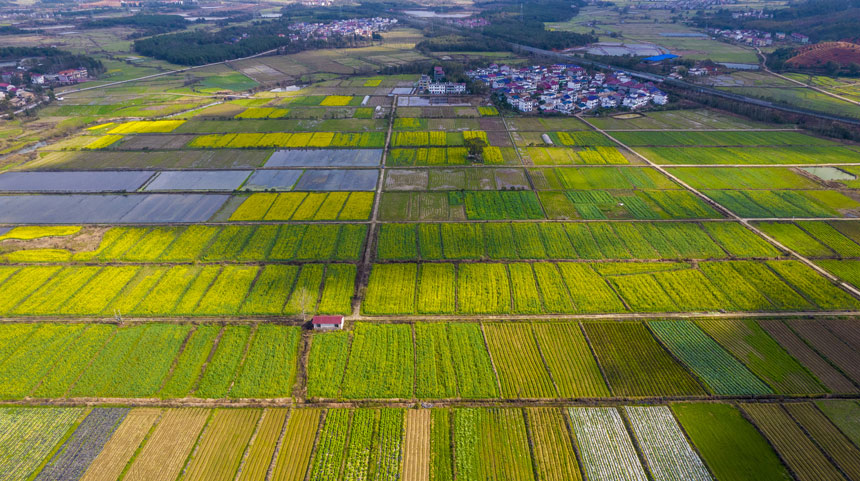 ǧ߲˻cͲ˻fӳȤwz