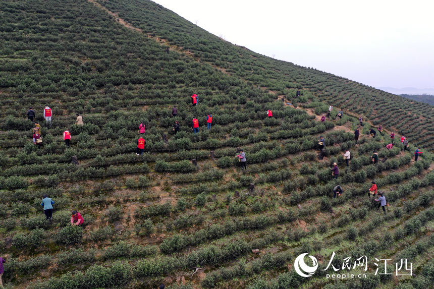 ¿hJϪl־ԸƽSfժǰײ W rz