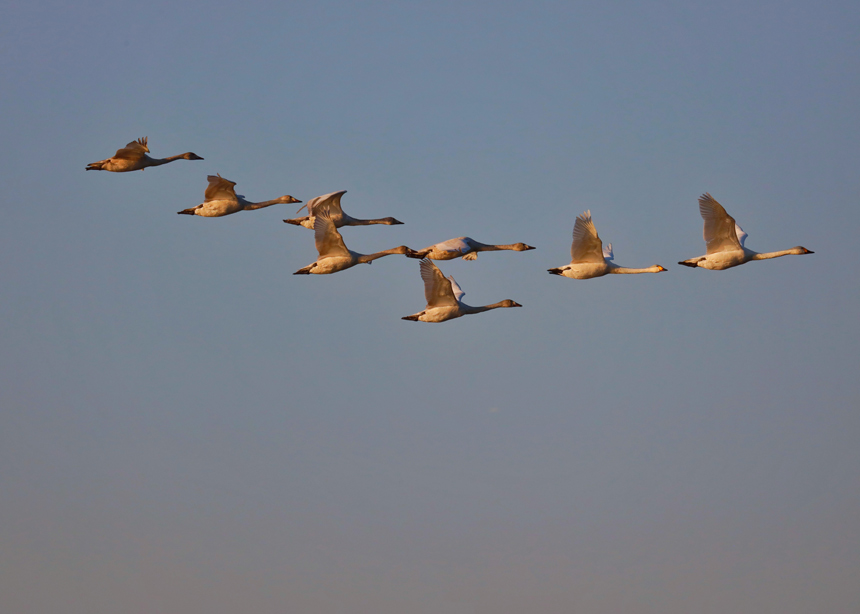 Žɣ^|ȵĺB_ʼw z  