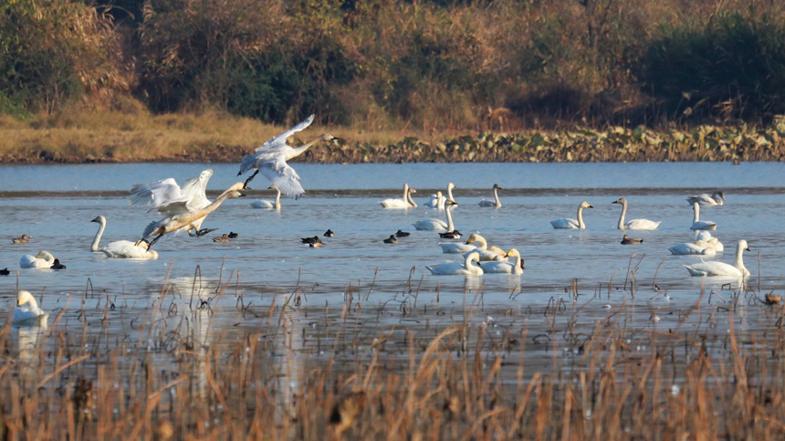 Žɣ^|ȵĺB_ʼw z  