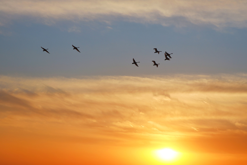 Žɣ^|ȵĺB_ʼw܊ z  