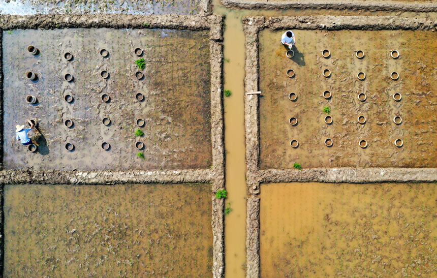 ʿоޣңcrһg׵Եоz