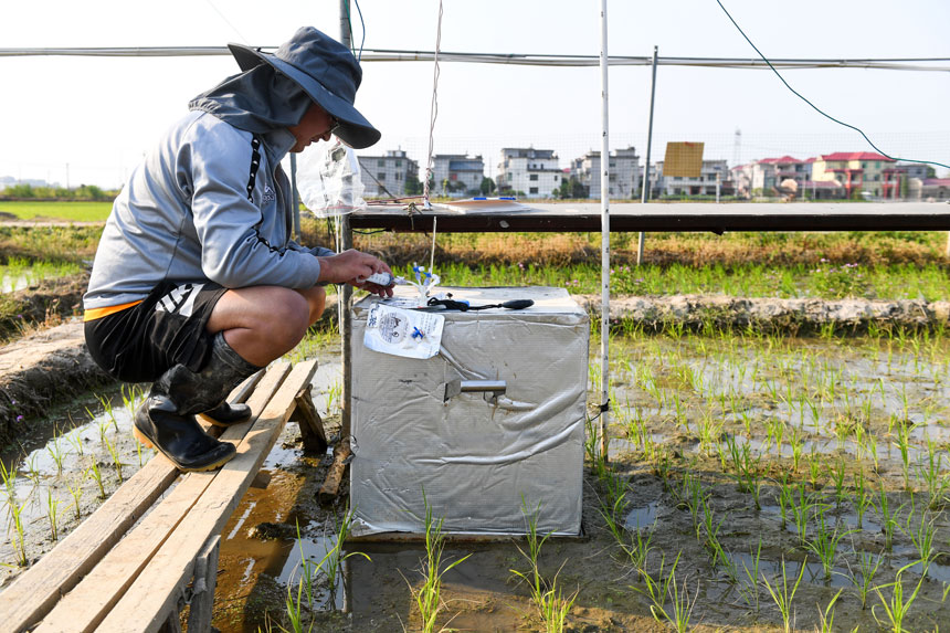 TʿоZgcڌpa͜ҚwŷӰ푵оz