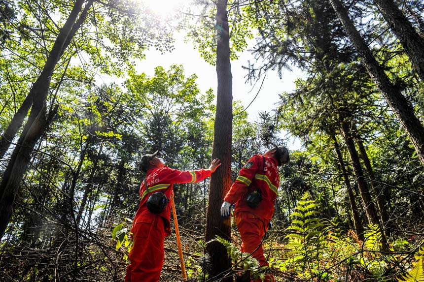 oֆTɽв鿴ԼԷNĘľLrz