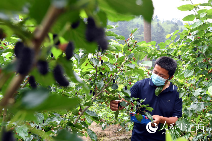 ɣ؈@Ssڲժɣ W rz