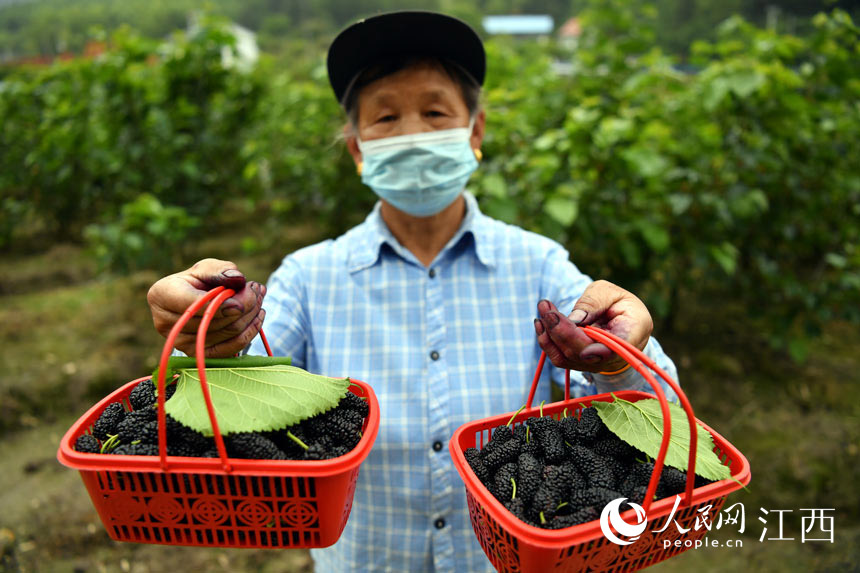 չĴڲժɣ W rz