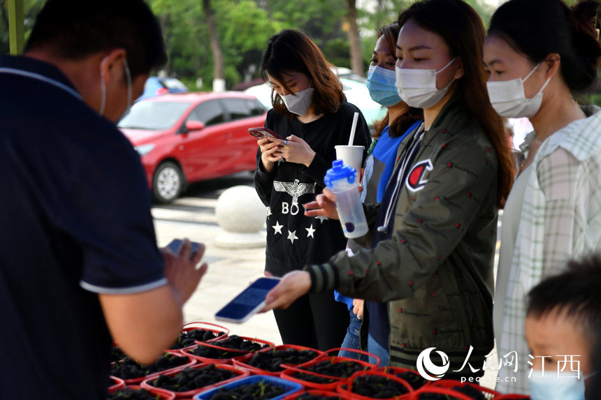 ¡ֱNcڼSs΢f^Ҫȥɣ؈@wժ W rz