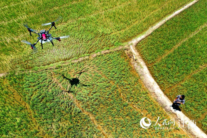 w֡whٿһܟo˙Cڇrˎx W rz