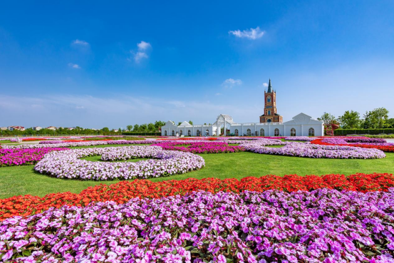 小鎮入口處的花園，超級鳳仙開的格外妖艷。