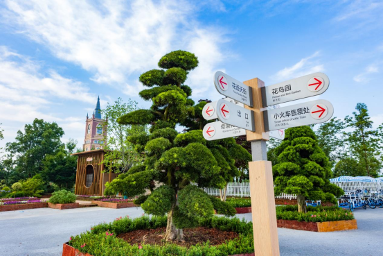 小鎮入口處的花園，超級鳳仙開的格外妖艷。