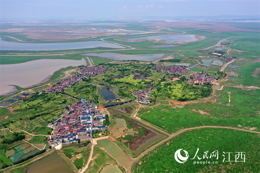 11日，鄱陽湖南山附近水域實拍，湖水退去，草原景象逐漸顯現。 人民網 時雨攝