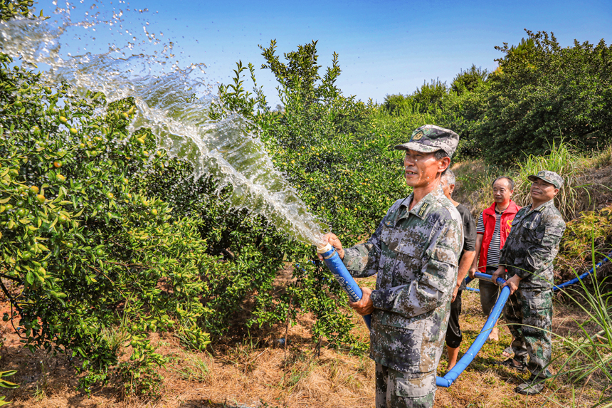 干部群眾正在給橘樹進行澆灌。李煜祖攝