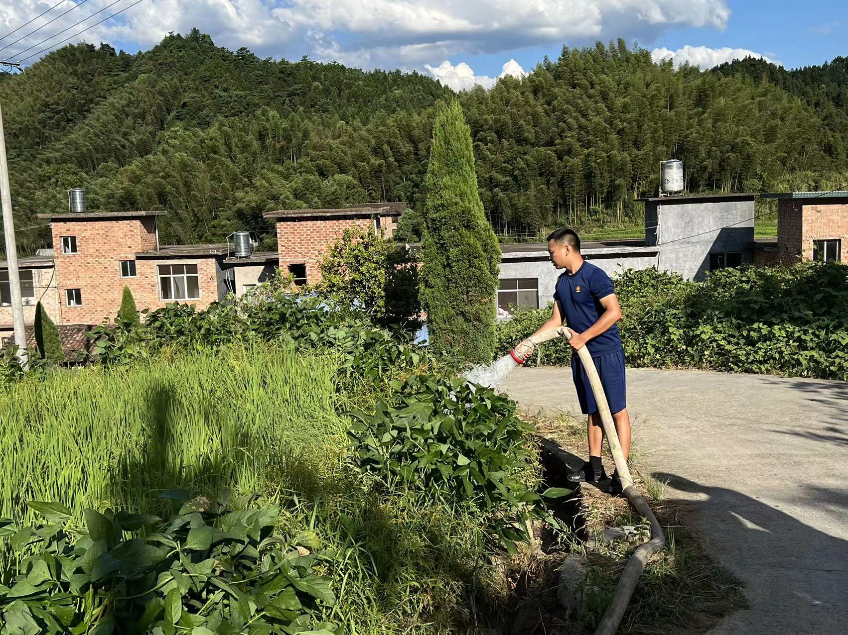 消防車開到田間地頭，為農作物灌溉。 李科攝