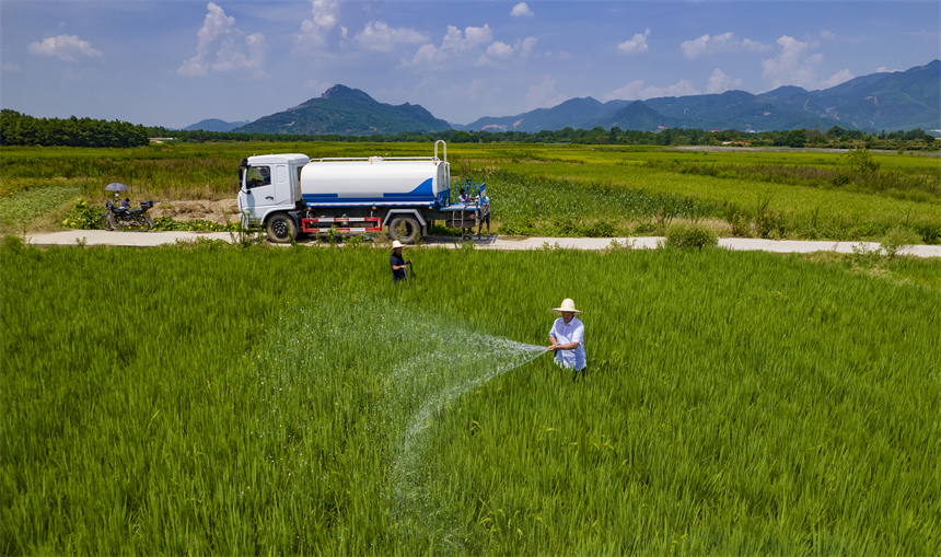 干部群眾協力引水抗旱。趙春亮攝