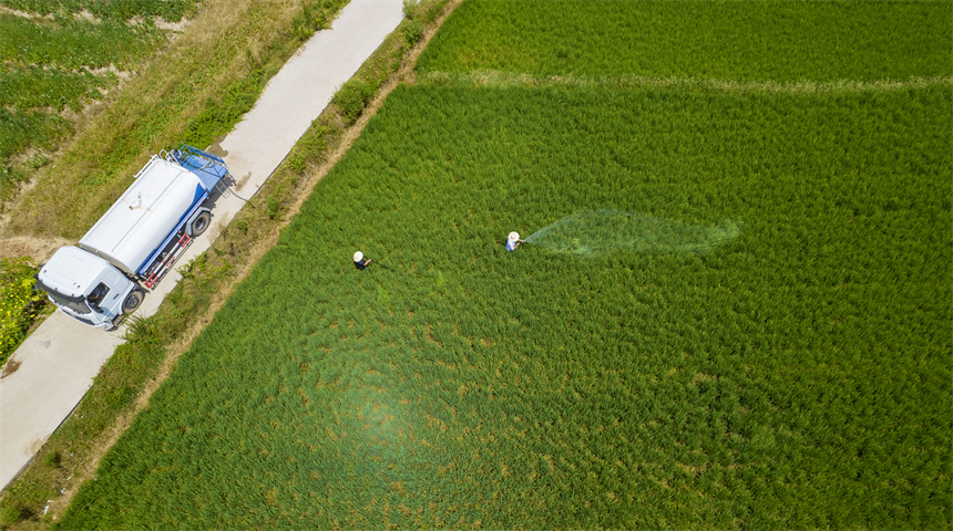 干部群眾協力引水抗旱。趙春亮攝