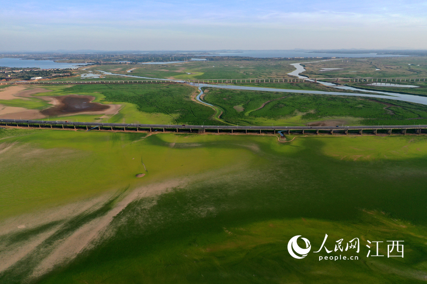 航拍鄱陽湖核心湖區金溪湖干旱實況。 人民網 時雨攝